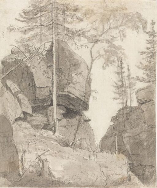 Trees and Rocks, Tinn in Telemark