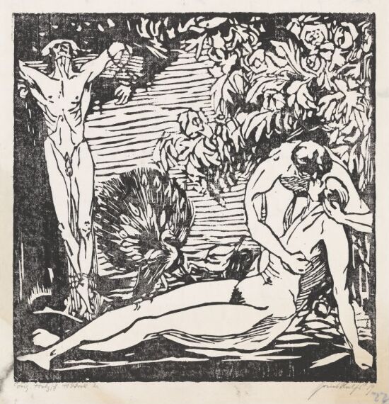 Faturu Adoliscentis (?)