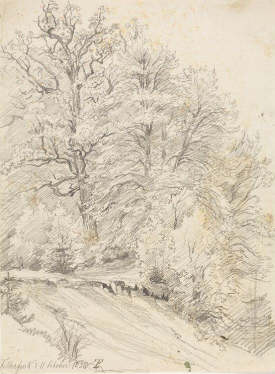 Skogsparti, Feldafing