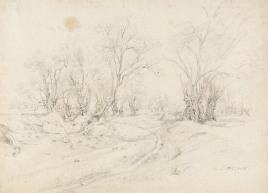 Landskap mer trær, Palermo