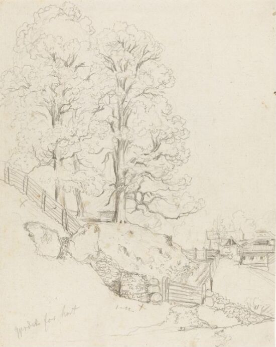 Løvtrær i bakkehelling