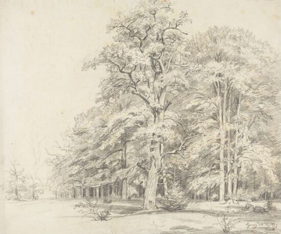 Skogsparti, Obersöchering