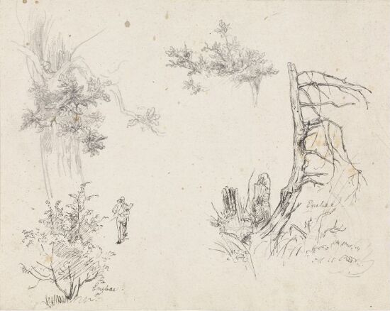 Trestudier; einer; jeger