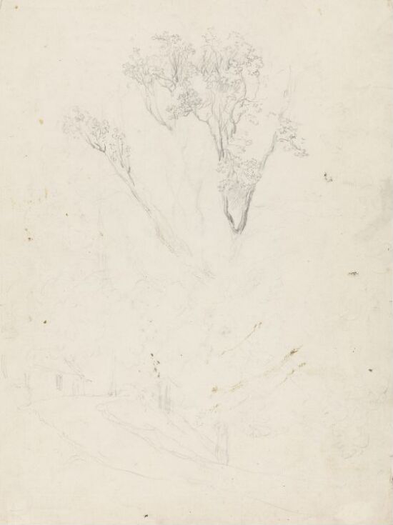 Vei med hus og trær