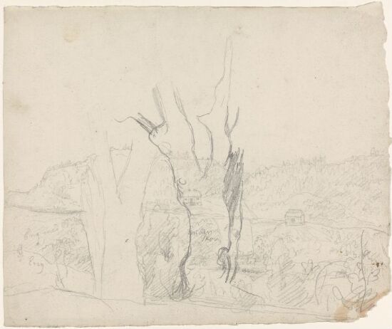 Tre- og landskapsstudie