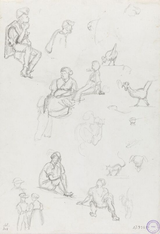 Figur- og dyrestudier