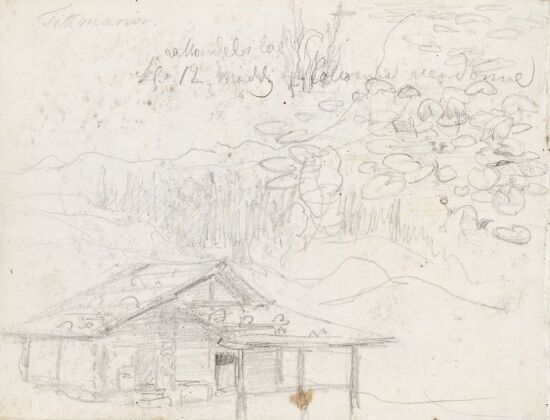 Hus i landskap; vannliljer