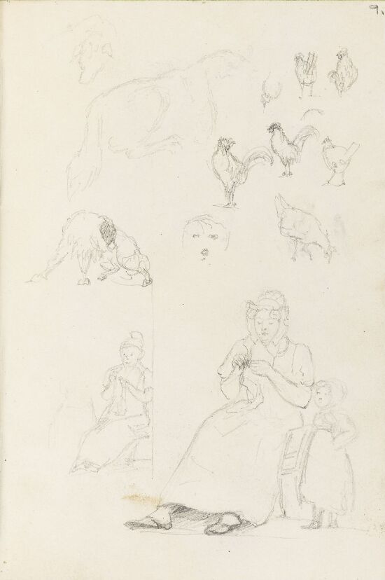 Figur- og dyrestudier