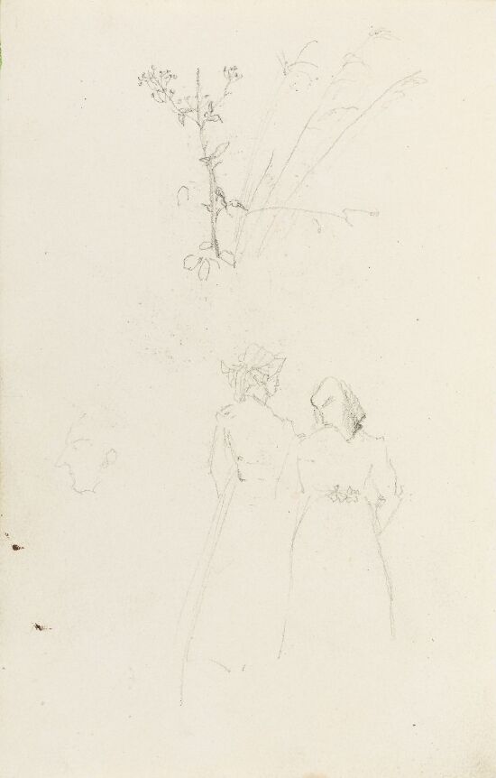 Plantestudie; ryggvendte kvinner