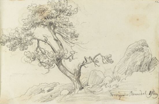 Fra Torvika i Romsdal