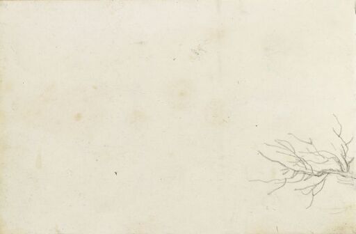 Furugren (fragment)