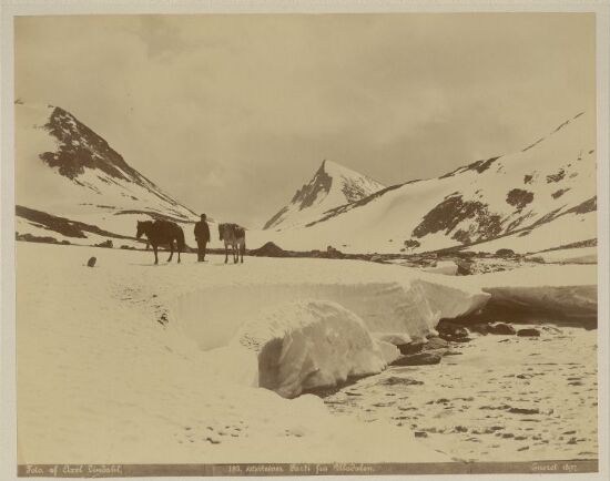 Jotunheimen, Parti fra Uladalen