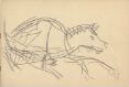 Hest