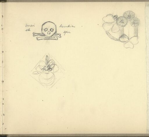 Cranium; Flower Designs