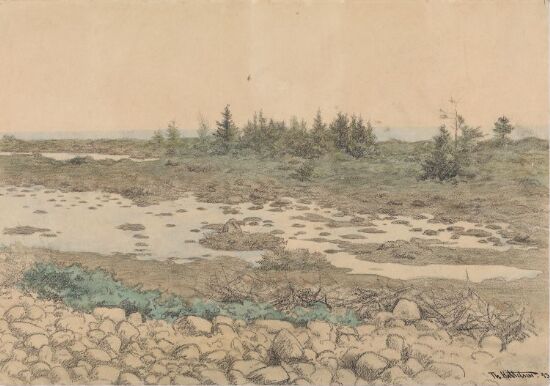 Rullestein, vann og småtrær