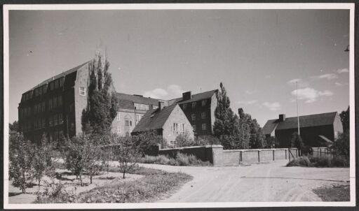 Fjellheim folkeskole