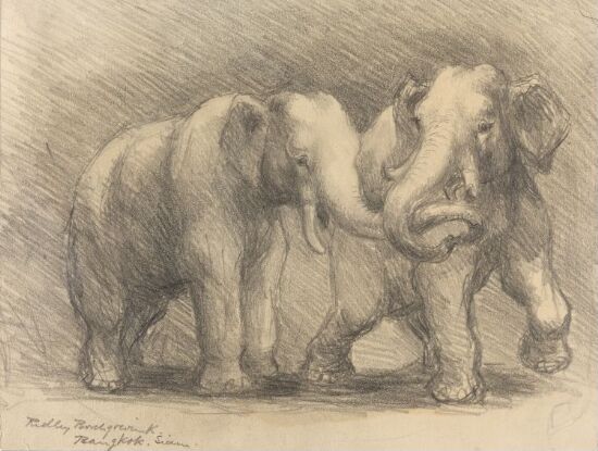 To elefanter, Bangkok