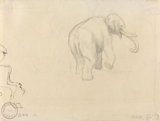 Elefant