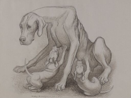 Dog with Puppies