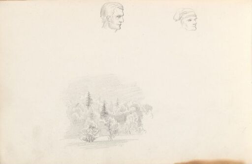 To mannshoder; skogslandskap