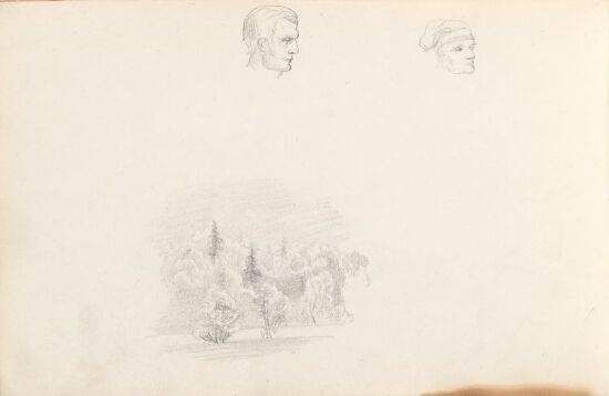 To mannshoder; skogslandskap