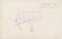 Studie av utskjæringer; riss av hode; hest