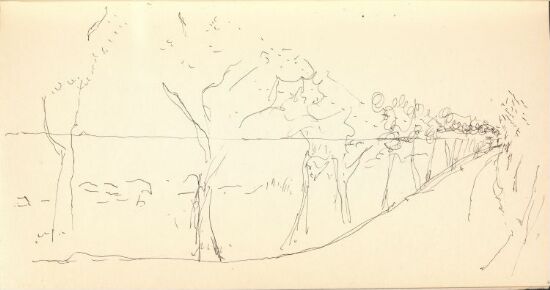 Studie av trær langs vei