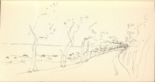 Studie av trær langs vei