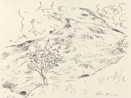 Fjellbekk med dvergbjørk