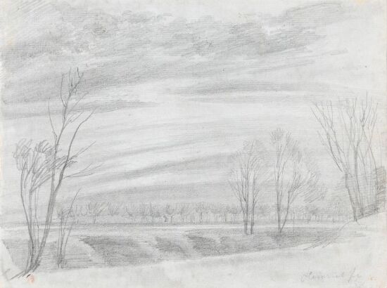 Slettelandskap med trær