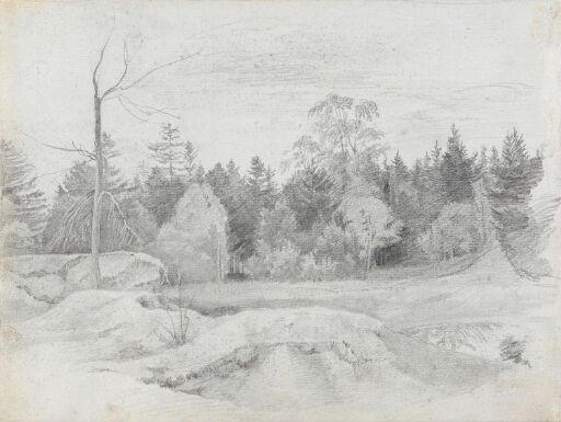 Utkanten av en skog