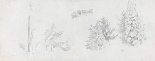 Studies of Plants and Trees and Tower on Mönchsberg