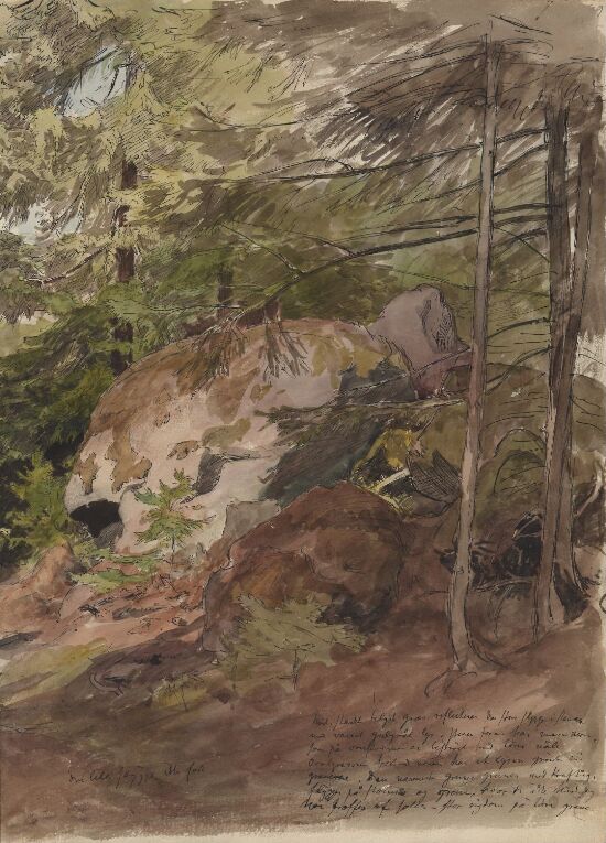 Skogsinteriør, Sarabråten