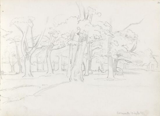 Parklandskap, Korswandt