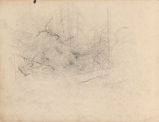 Skogsinteriør, Bolkesjø