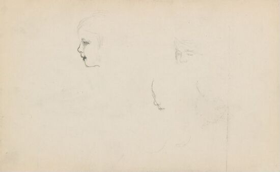 Riss av profil; riss av ansikt