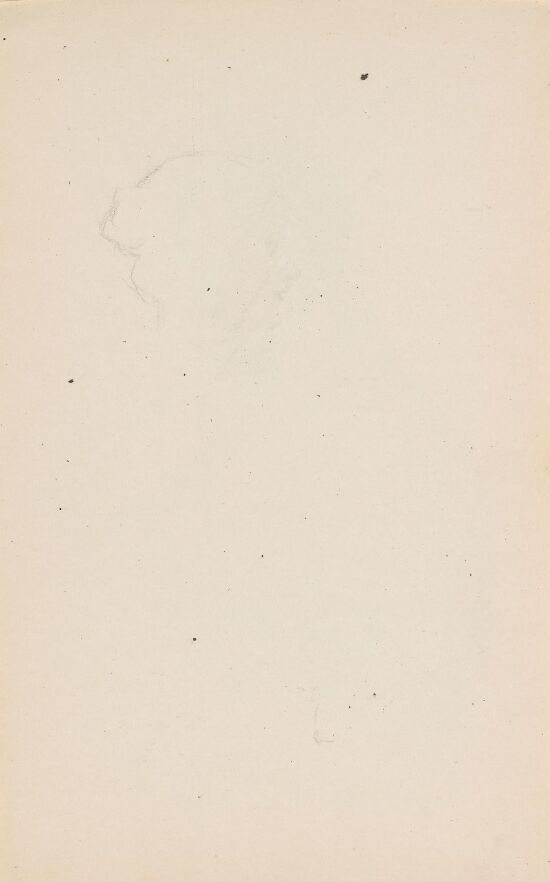 Riss av kvinneprofil