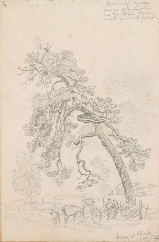 Fra Skjeggestad, Ringebu