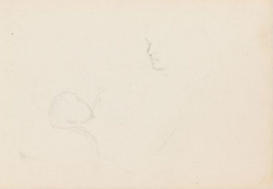 Riss av hode; riss av ansikt