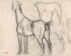 Studies of horses