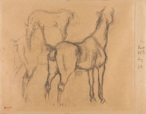 Studies of horses