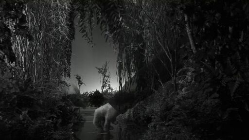 Staging Silence (2)