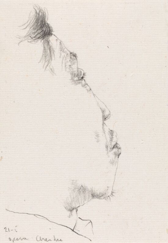 Tilskuer, Beijing-opera