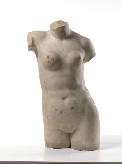 Aphrodite Anadyomene