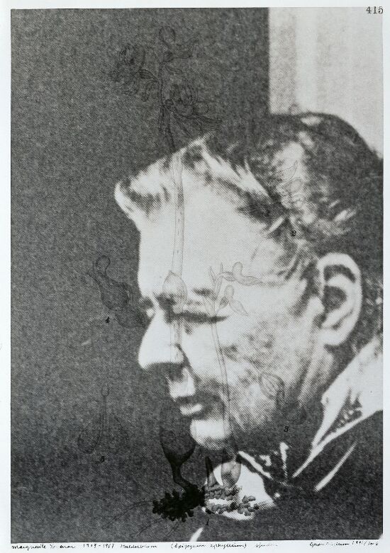 Marguerite Yourcenar (1903–1987) Huldreblom, Epigogium aphyllum, sjelden