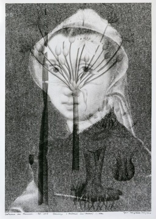 Caterina van Hemessen (1528–ca. 1587) Brudelys, Butonus umbellatus, sjelden