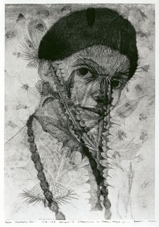Paula Modersohn - Becker (1876–1907) Onopordum Acanticum, Very Rare