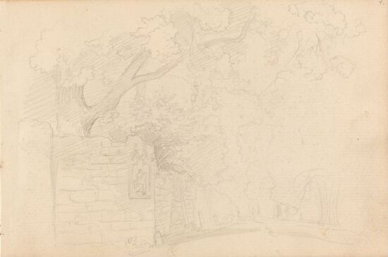 Gate med trær og hagemur