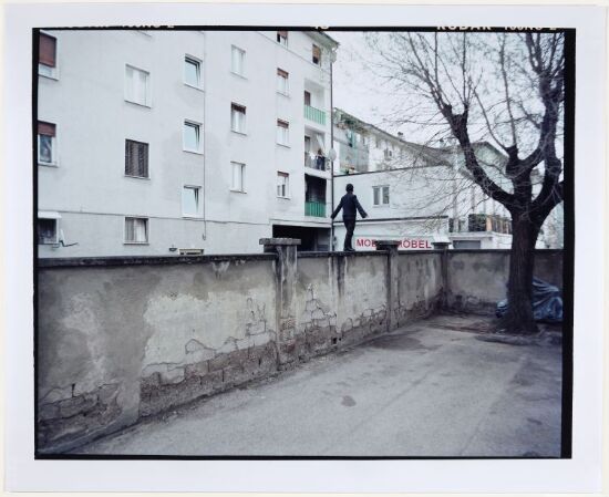 Everything is somehow related to everything else, yet the whole is terrifying unstable