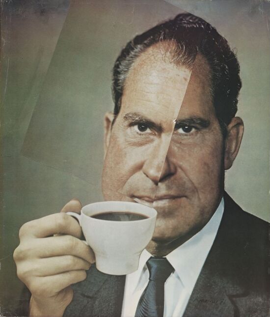 Nixon Visions